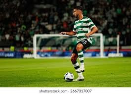 罗迪奥诺娃力克头号种子斩获金安国际网球公开赛女单桂冠